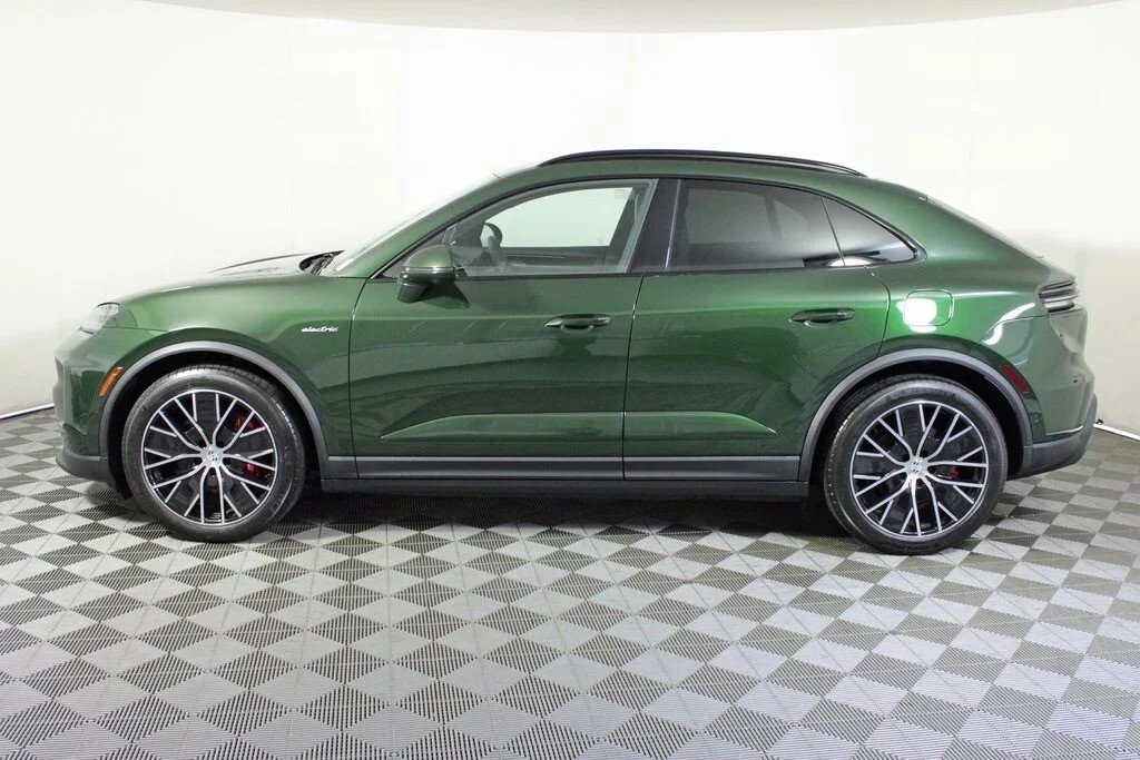 macan.oakgreen.22025.02.jpg